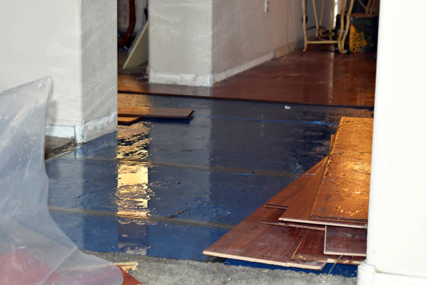 Professional Crawl Space Water Removal technician working in Dundee, MI